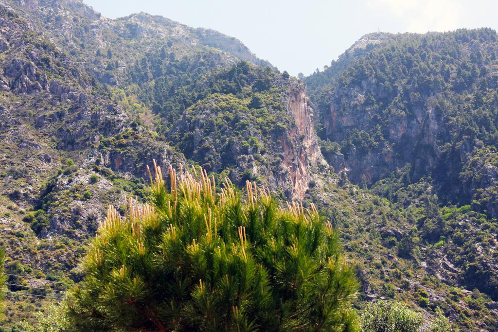Sea And Mountain View Villa Kalamata Ngoại thất bức ảnh